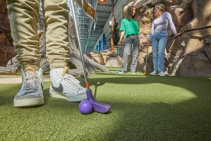 Moose Mountain Adventure Golf in Mall of America
