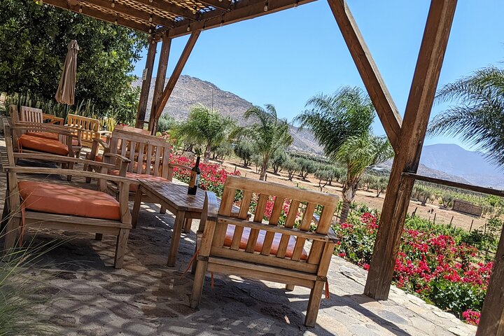 Premium Valle de Guadalupe Wine and Food Tour