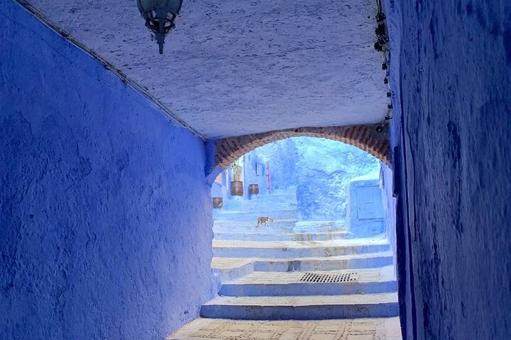 Explore chefchaouen like a local