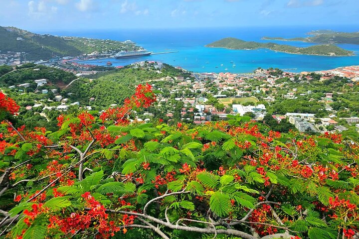 Island Life Jeep Tours - Your Day Your Way Private Excursion!
