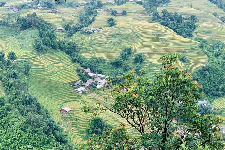 Sapa Motorbike Tour With Local Guide 1 Day - Waterfalls, Villages