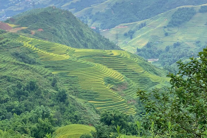 Sapa Motorbike Tour With Local Guide 1 Day - Waterfalls, Villages