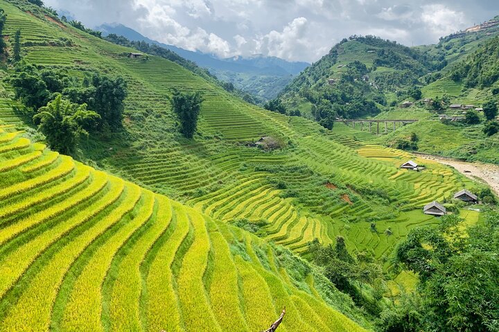 Sapa Motorbike Tour With Local Guide 1 Day - Waterfalls, Villages