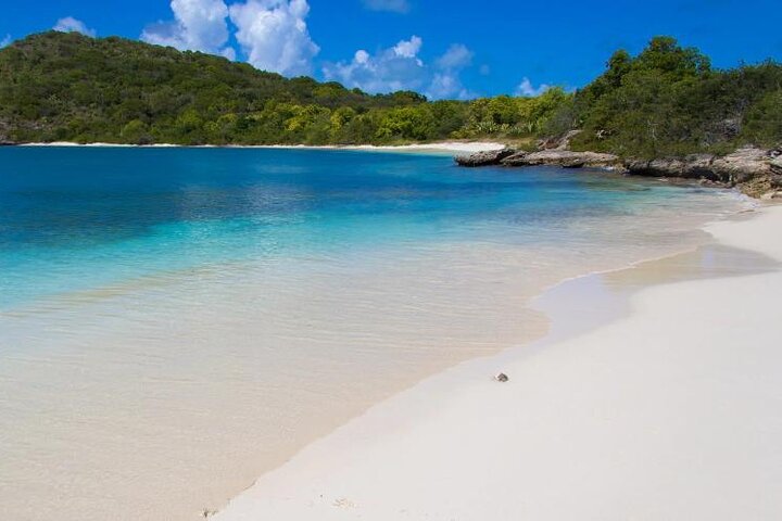 FANTASTIC Green Island and Sea Turtles - Half Day share boat trip