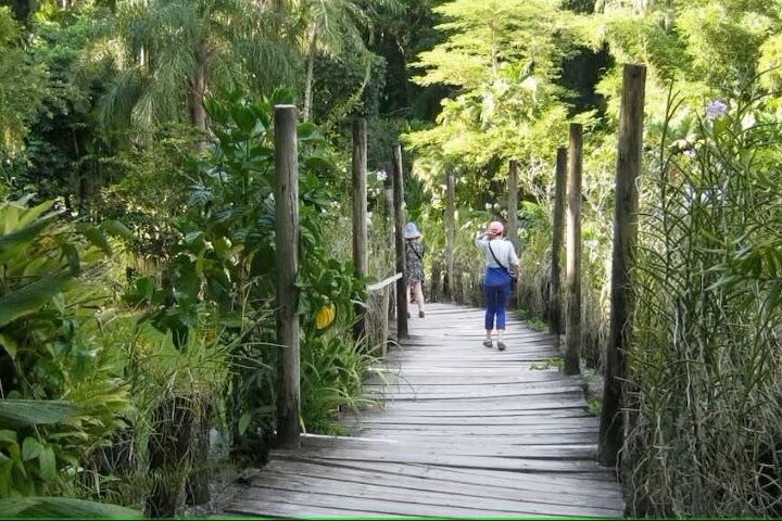 Best of Nadi Highlights