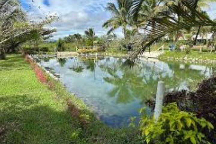 Discover Mud pool/Hot -Spring Nadi