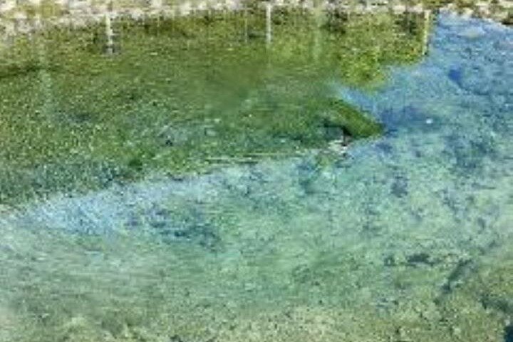 Discover Mud pool/Hot -Spring Nadi