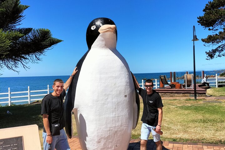 Half Day Burnie Shore Excursion: Local highlights