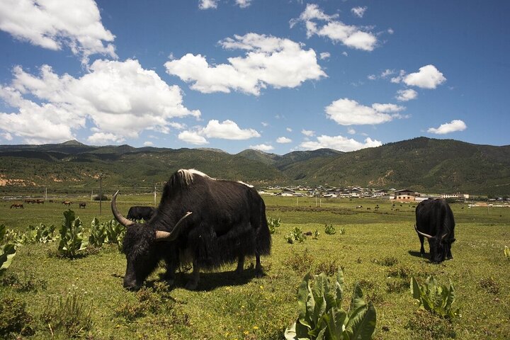 9-Day Tour: Explore Yunnan
