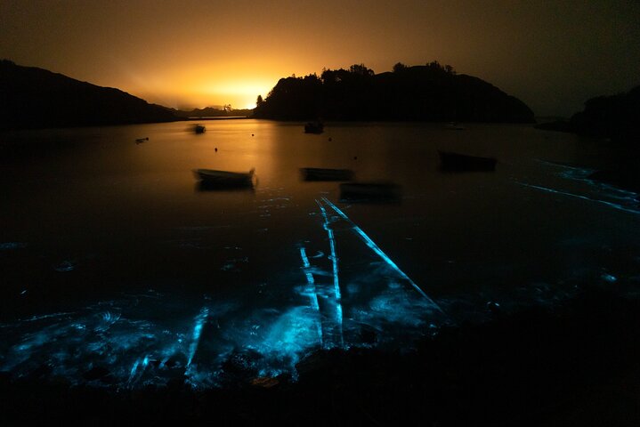 Bioluminescent Swim Experience in West Cork with Storytelling