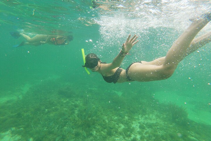 Full Day Tour with Fishing and Snorkeling from Holbox