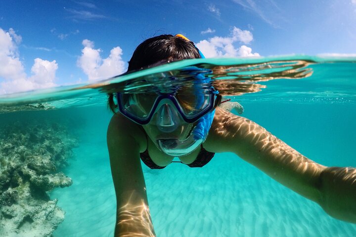 Antigua Stingray Experience with Hotel Pickup & Local Guide