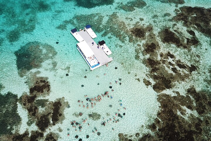 Antigua Stingray Experience with Hotel Pickup & Local Guide