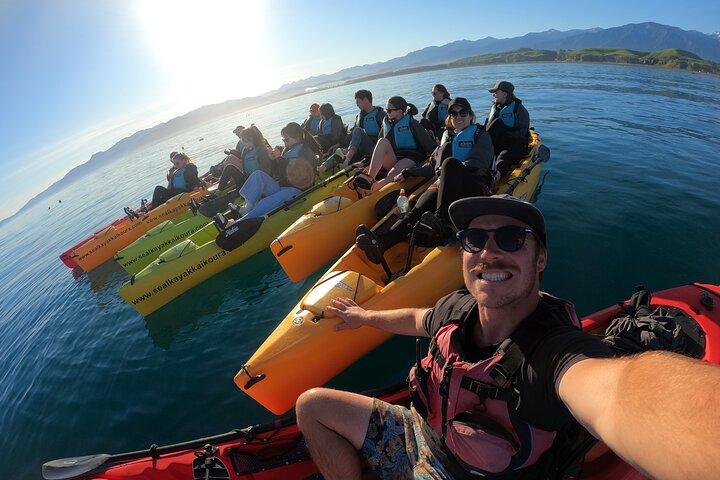 Seal Kayaking Adventure in Kaikoura