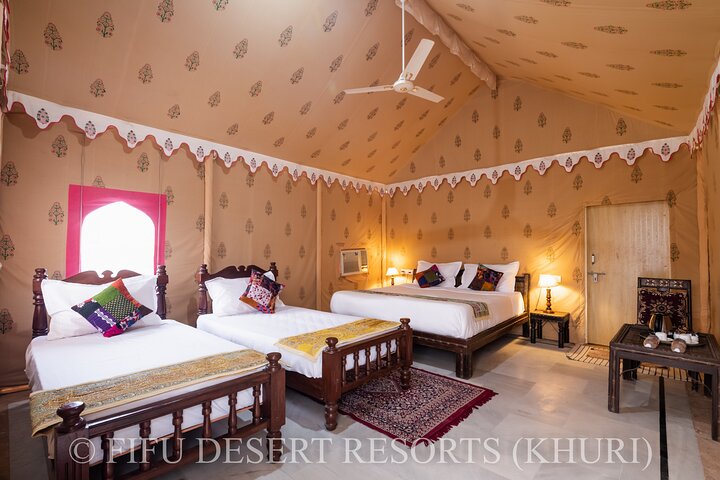 A Night in Thar Desert – Unforgettable Luxury Camel Safari