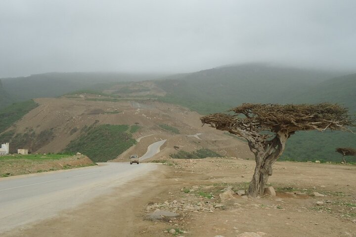 East Salalah Mountain Safari, Wadi Darbat, Beach, Camels, Dunes