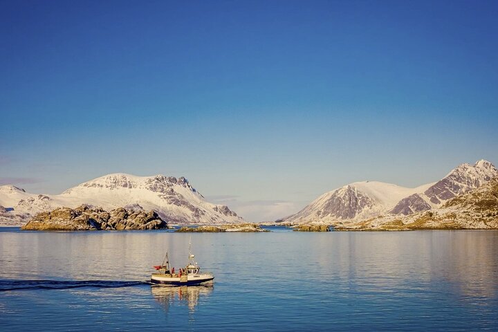 Sommarøy & Kvaløya Scenic Fjord Tour