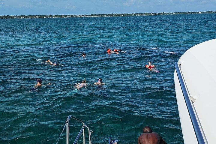 Nassau 3-stops: Snorkeling, Swimming Pigs, Turtles & Lunch