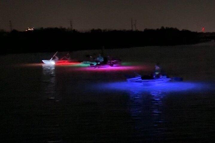 Guided Island EcoTour: CLEAR/Standard Kayak, SUP - Bonita Springs