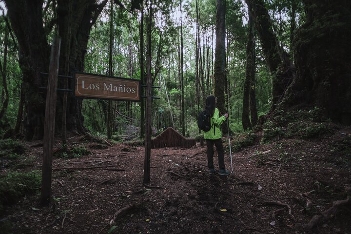 Private Excursion in Tepuhueico Park