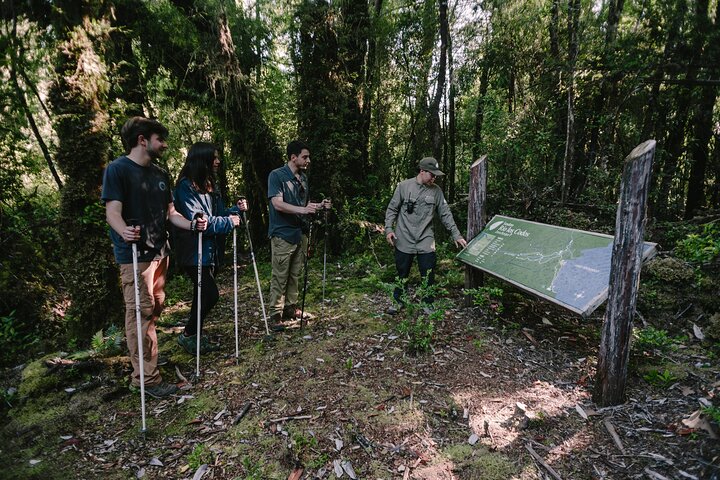 Private Excursion in Tepuhueico Park