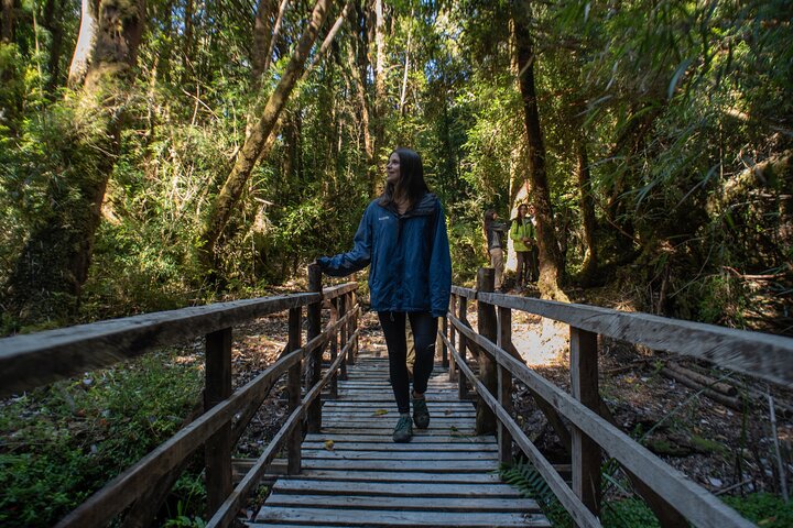 Private Excursion in Tepuhueico Park