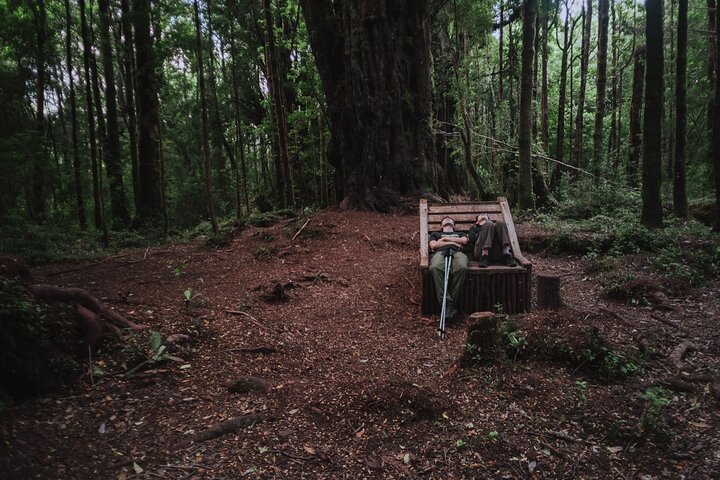 Private Excursion in Tepuhueico Park