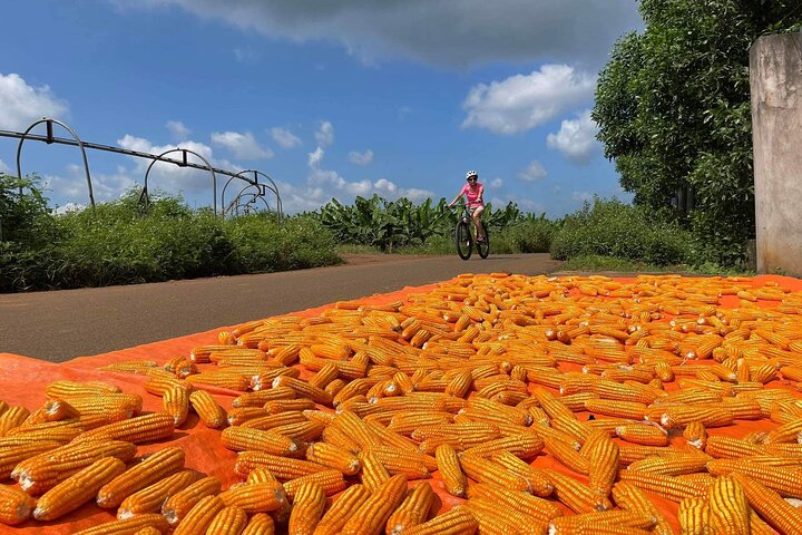 Countryside Biking Experience: Phu My Port - Vietnam