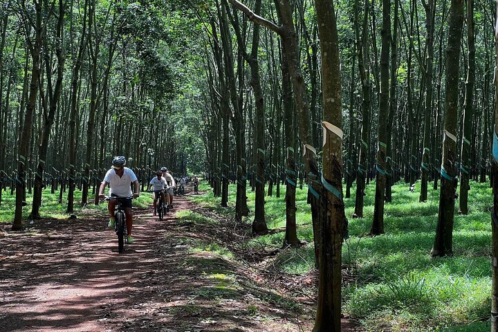 Countryside Biking Experience: Phu My Port - Vietnam
