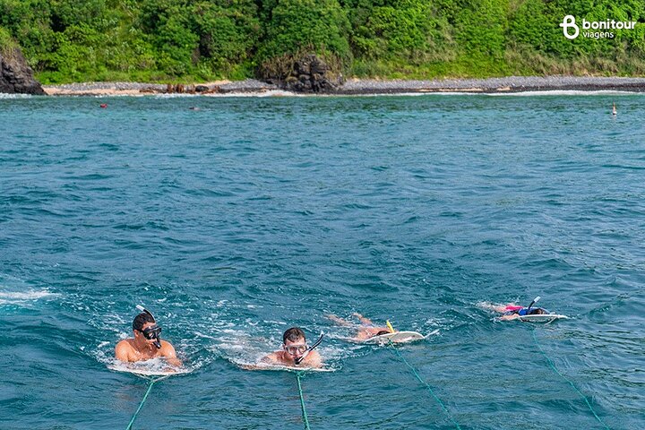 Catamaran trip with meal (Eventide VIP)