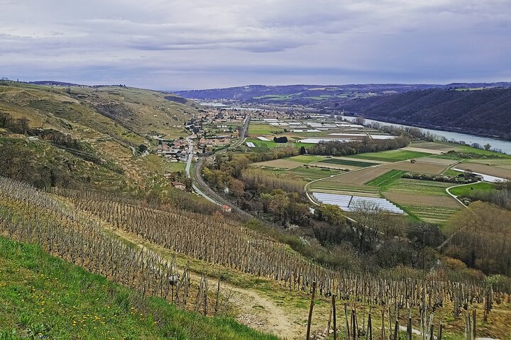 Guided Day Tour and Wine Tasting Northern Rhône Valley
