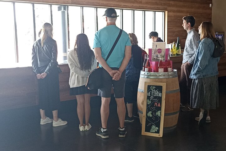 Guided Day Tour and Wine Tasting Northern Rhône Valley