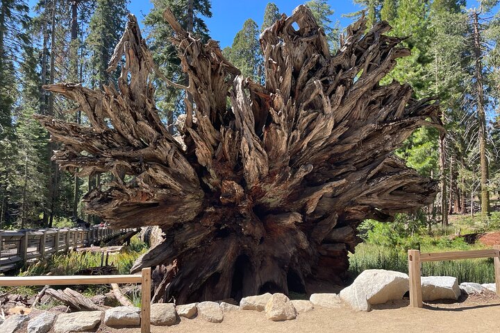 Yosemite National Park & Sequoias Private Tour from San Francisco