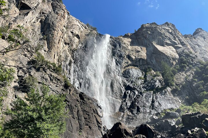 Yosemite National Park & Sequoias Private Tour from San Francisco