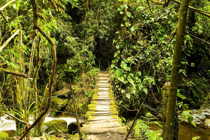 Salento, Cócora + Santa Rita Waterfall from Pereira or Armenia