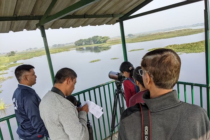 Bird Watching at Nandur Madhyameshwar Wildlife Sanctuary Nashik