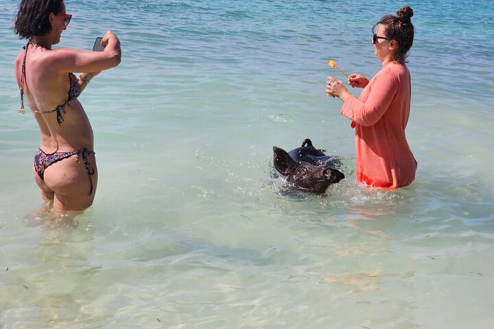 Nassau 3-stops: Snorkeling, Swimming Pigs, Turtles & Lunch