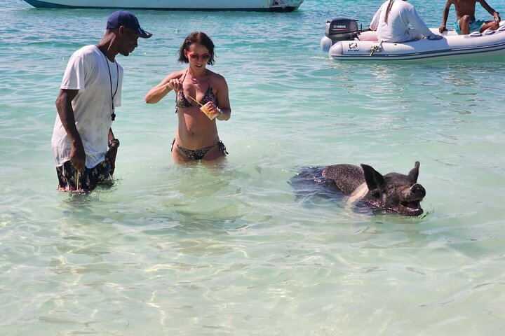 Nassau 3-stops: Snorkeling, Swimming Pigs, Turtles & Lunch