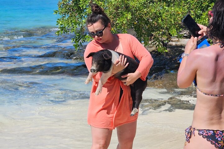Nassau 3-stops: Snorkeling, Swimming Pigs, Turtles & Lunch