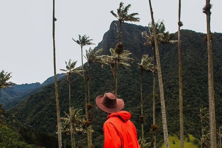 Tour Salento, Cócora + Horseback Riding from Pereira or Armenia