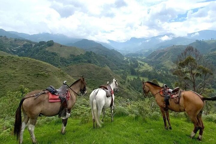 Tour Salento, Cócora + Horseback Riding from Pereira or Armenia