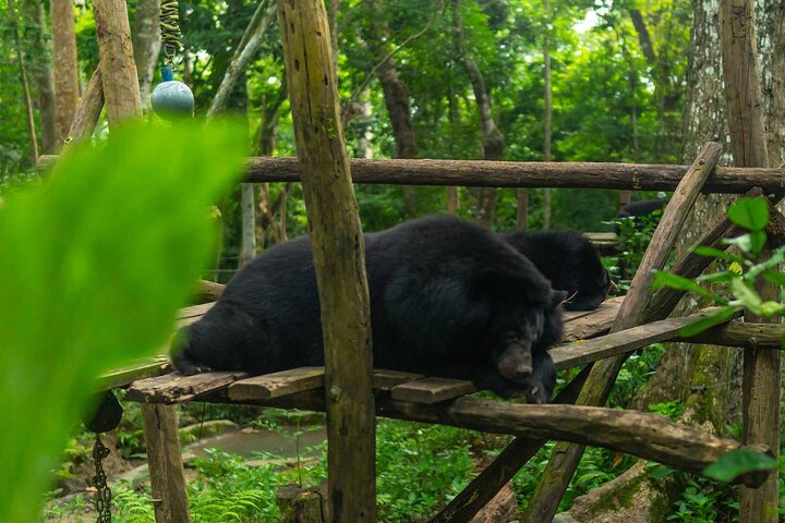 Kuang Si Waterfall, Tree Top Cafe, Ziplining with Lunch