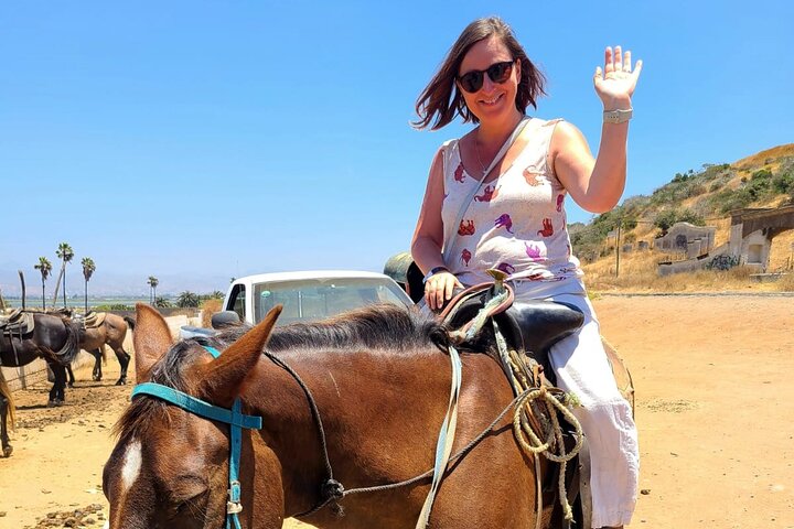 Private Shore Excursion: Beach or Canyon Horseback + Bufadora opt