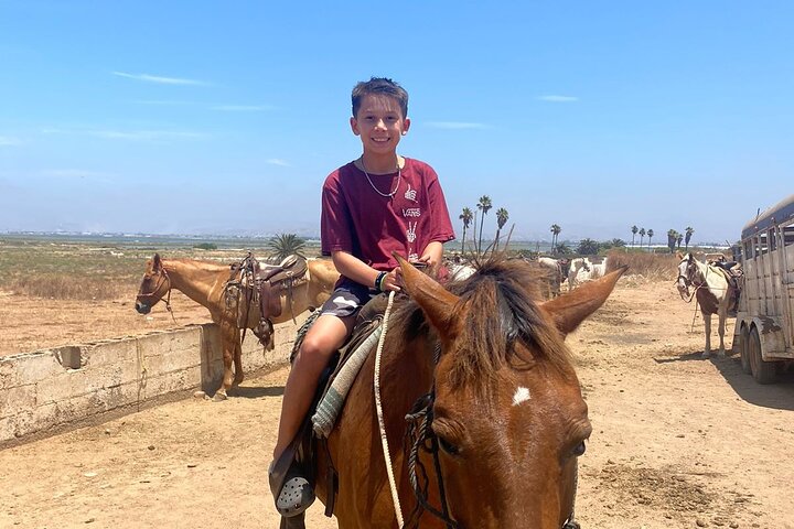 Private Shore Excursion: Beach or Canyon Horseback + Bufadora opt