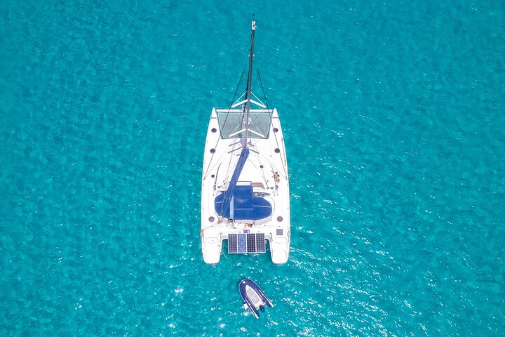 Catamaran Sailing Tour or Whale Watching at Boa Vista