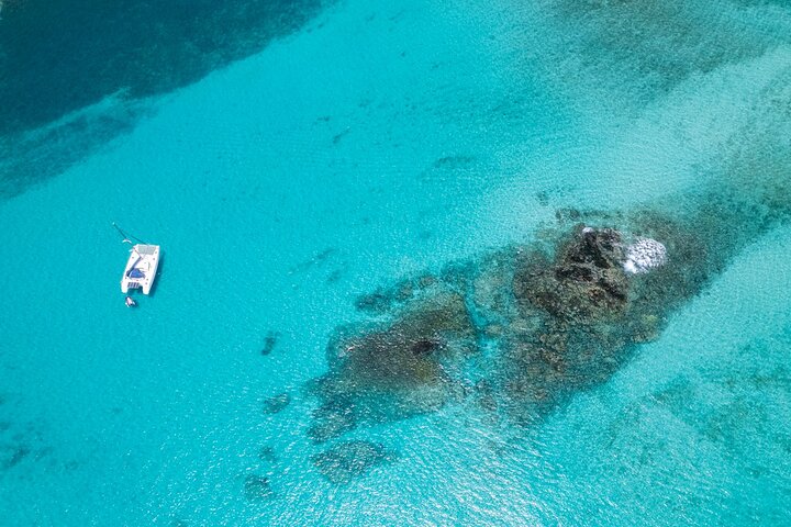 Catamaran Sailing Tour or Whale Watching at Boa Vista