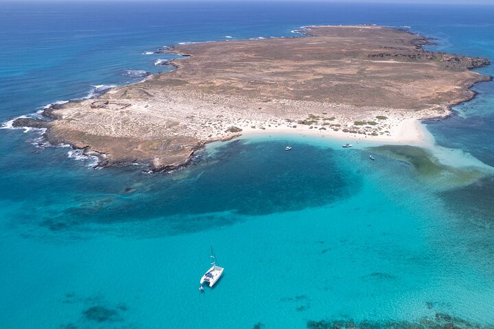 Catamaran Sailing Tour or Whale Watching at Boa Vista
