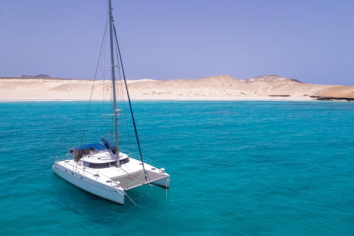 Catamaran Sailing Tour or Whale Watching at Boa Vista