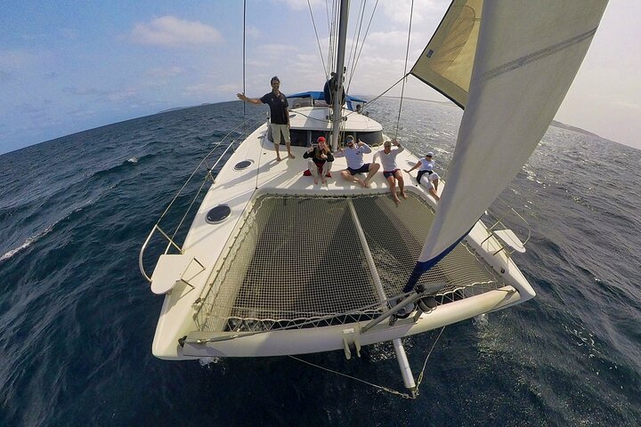 Catamaran Sailing Tour or Whale Watching at Boa Vista