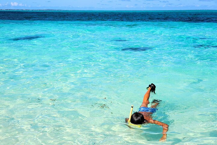 Private Boat Tour with Snorkeling, Island Hopping, and Noahs Ark